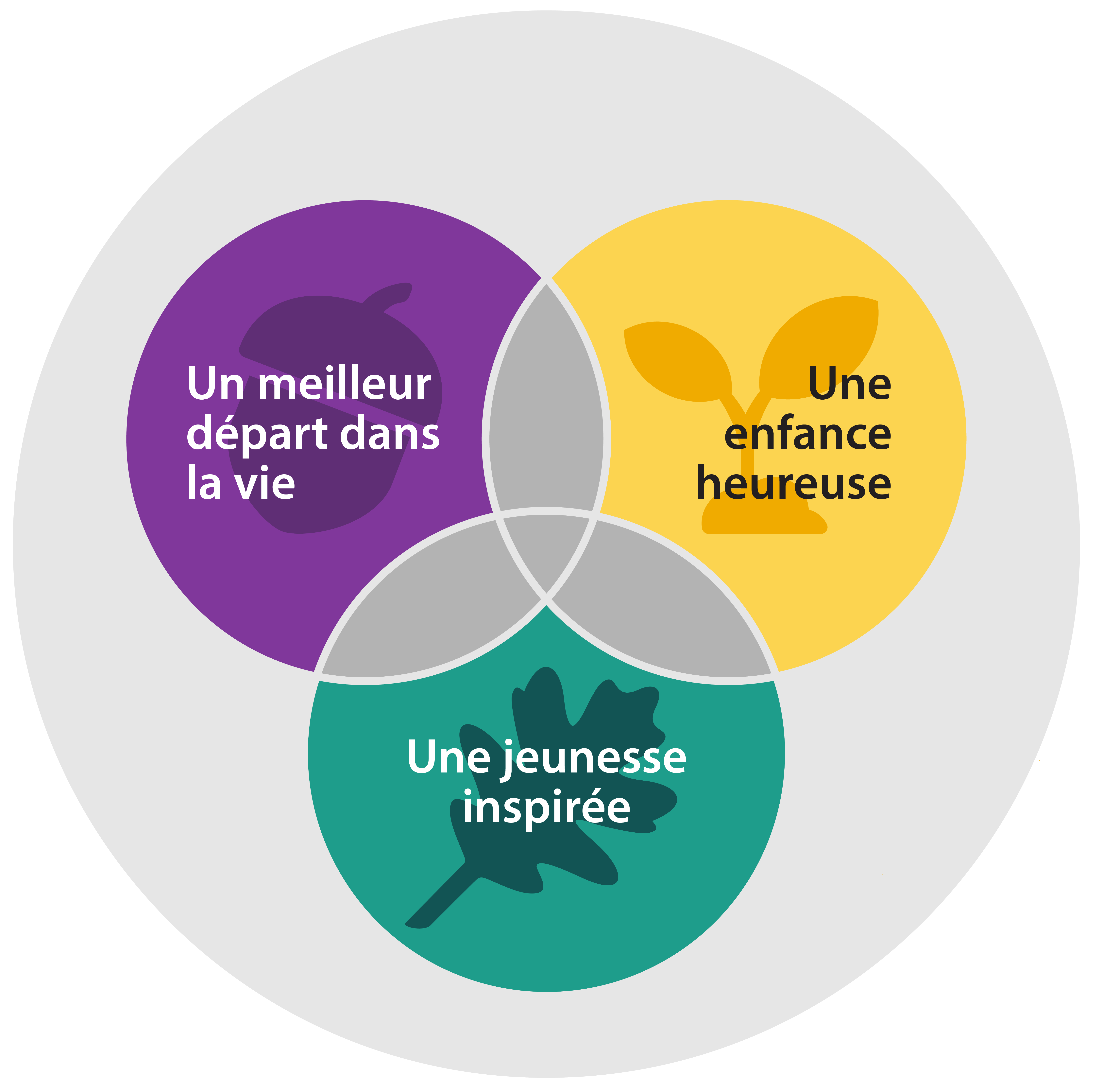 Trois cercles se chevauchent et forment un triangle représentant la vision de l’IDSEA : un meilleur départ dans la vie, une enfance heureuse et une jeunesse inspirée. Ce trio est entouré d’un plus grand cercle symbolisant les nombreux soutiens et facteurs supplémentaires qui encadrent ces trois domaines d’intérêt.